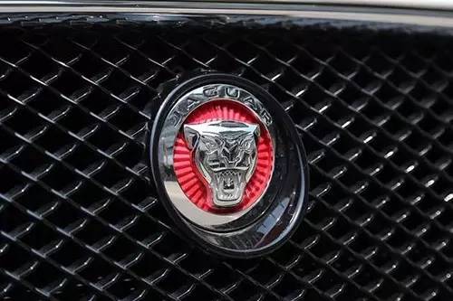 車標(biāo)上的動物都是啥來頭？看完又能出去裝X了