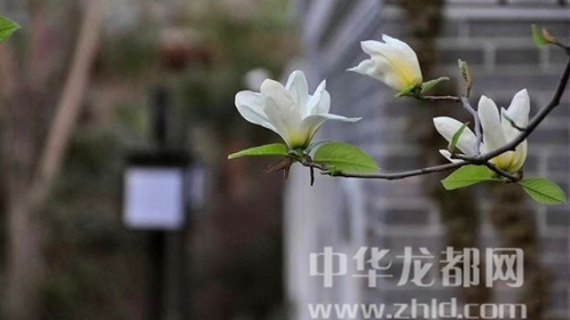 淮陽蓮舍，多了一份味道