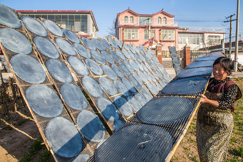 見過傳統(tǒng)技法做粉皮嗎？隨鏡頭走進(jìn)豫東農(nóng)村看看吧