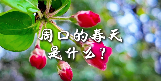 周口的春天，待你慢慢遇見